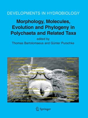 cover image of Morphology, Molecules, Evolution and Phylogeny in Polychaeta and Related Taxa